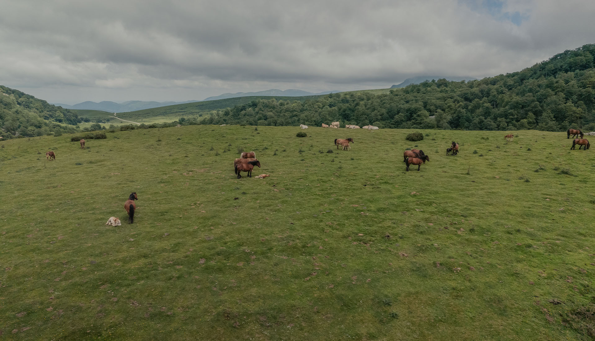 imagenes de viaje realizadas por mario de free live free ride con un drone en los pirineos